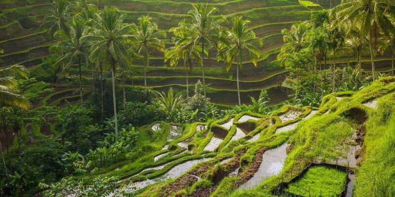 bali-full-day-instagram-highlights-tour