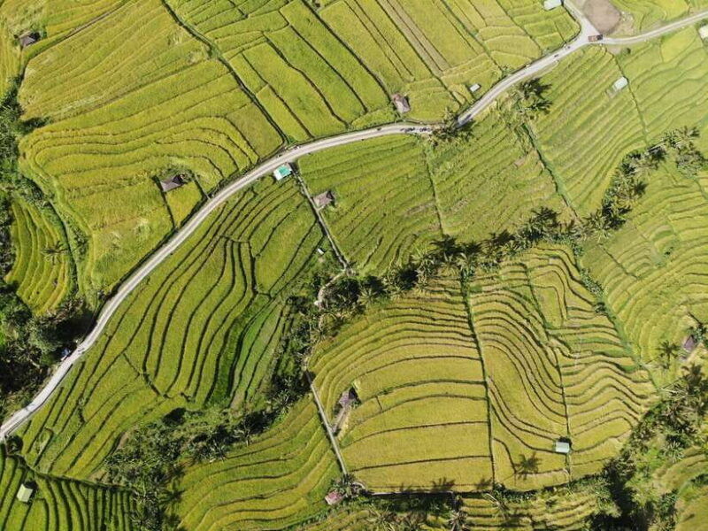 bali-full-day-jatiluwih-rice-terrace-and-tanah-lot-tour