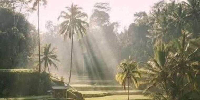 bali-full-day-optional-tour-packages