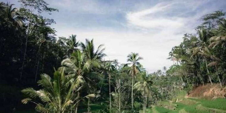 bali-full-day-optional-tour-packages