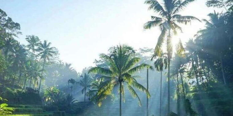 bali-full-day-optional-tour-packages