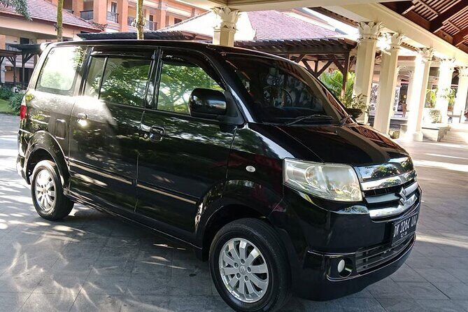 Bali Full Day Private Car Charter with Professional Driver - Who Is This Tour Best For?