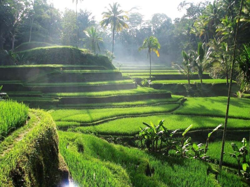 Bali Full-Day Private Customized Tour - Key Points