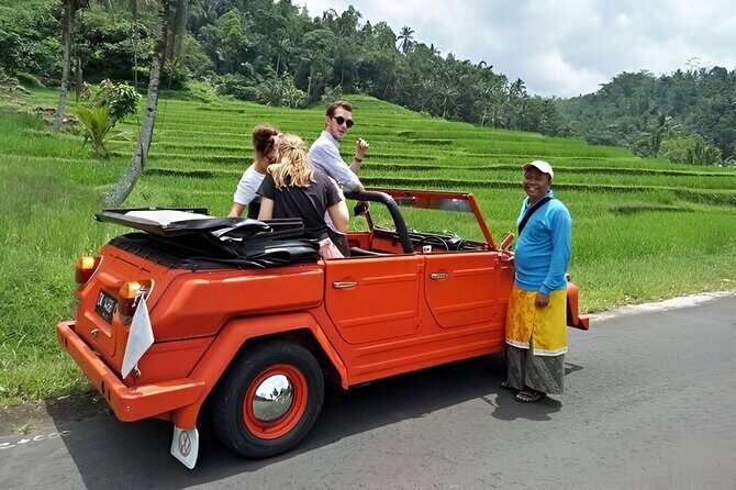 Bali Full-Day The Gate of Heaven Tour by VW Safari Classic Car - Who Is This Tour Best For?