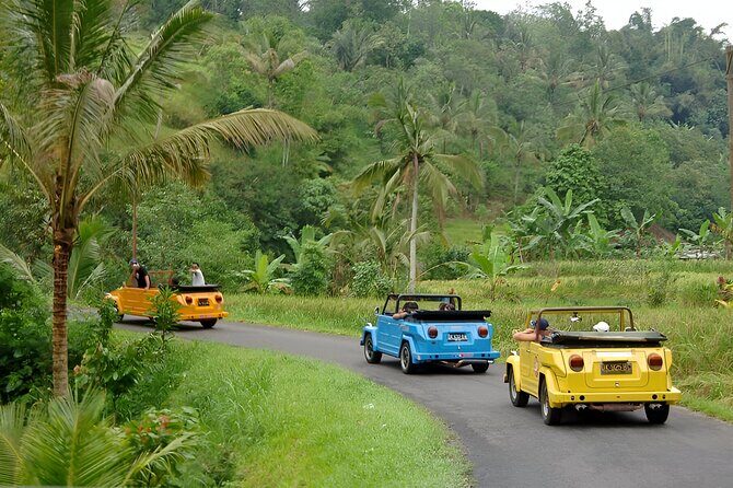Bali Full-Day The Gate of Heaven Tour by VW Safari Classic Car - Final Thoughts