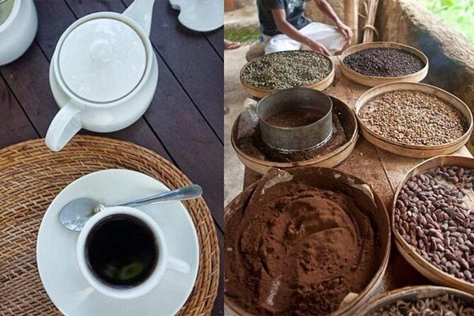 Bali Full Day Tour  Ubud and Batur Volcano - Transportation and Guide Quality