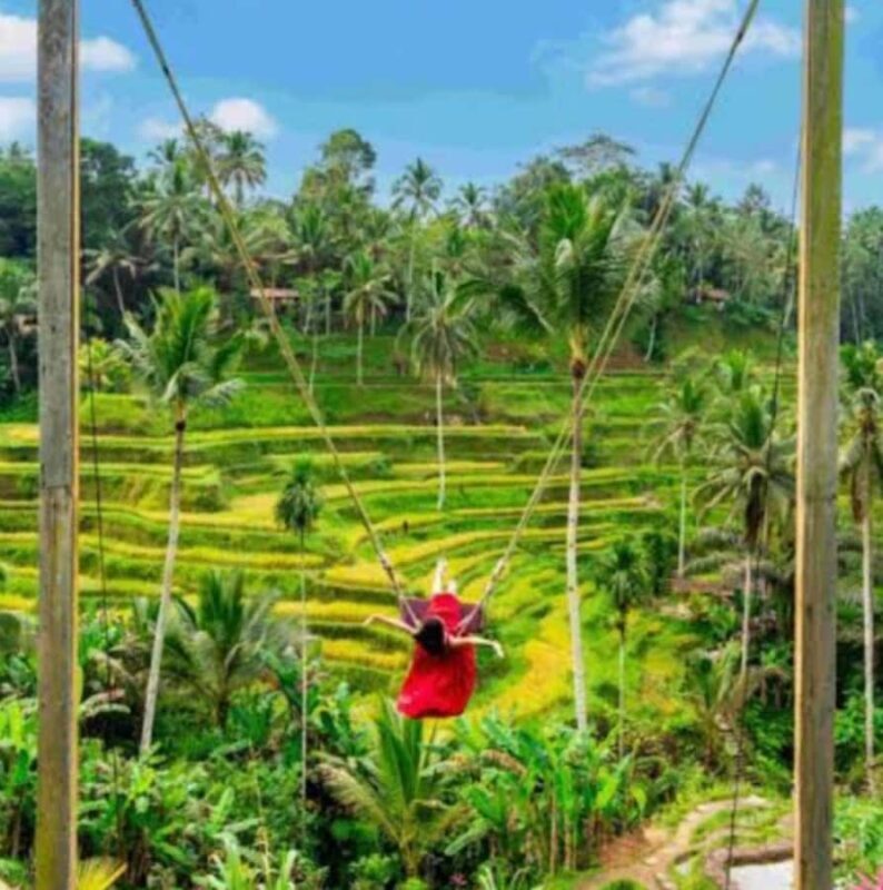 Bali : Full Day Tour With Female Driver - The Experience: From Convenience to Authenticity