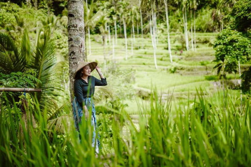 bali-full-day-ubud-highlight-tanah-lot-temple-sunset-tour