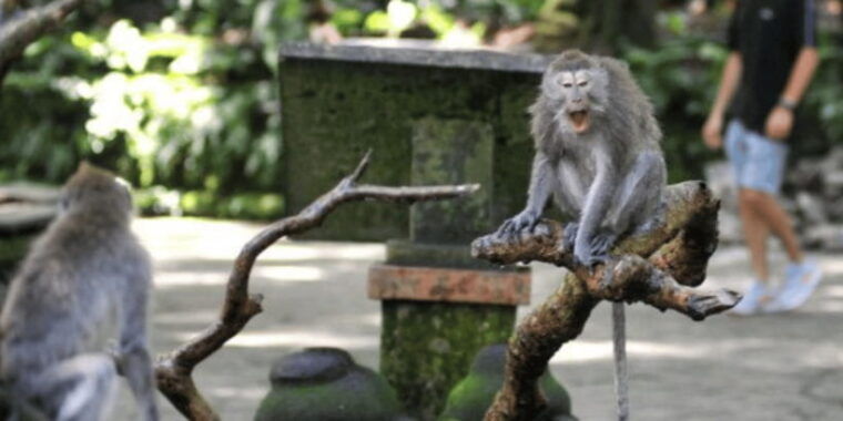 bali-full-day-ubud-waterfall-with-tanah-lot-tour