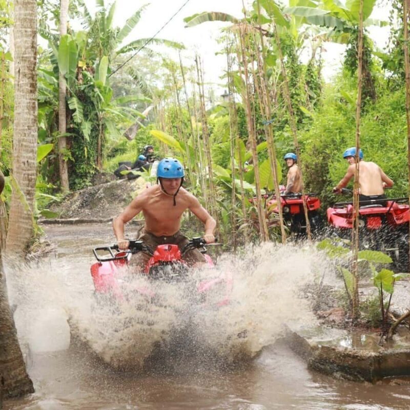 Bali : Fun atv Quad single Adventure with barong cave - Key Points