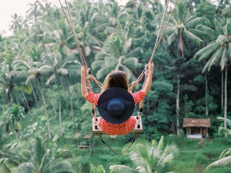 Bali: Gate of Heaven, Waterfall and Ubud All-Inclusive Tour - The Sum Up