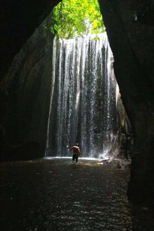 bali-gate-of-heaven-waterfall-and-ubud-all-inclusive-tour