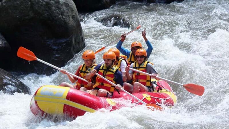 Bali: Get Wet, Get Wild  Join the Best Rafting Trip Around! - Who Will Love This Experience?