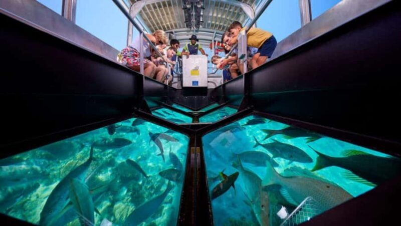 Bali: Glass Bottom Boat & Turtle Conservation Tour - Final Words