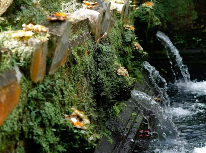 Bali: Goa Rang Reng Waterfall, Temple, and Jungle Swing Tour - Introduction: What’s Unique About This Bali Tour?