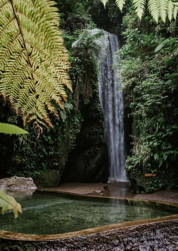 Bali: Goa Rang Reng Waterfall, Temple, and Jungle Swing Tour - Why This Tour Is a Great Choice