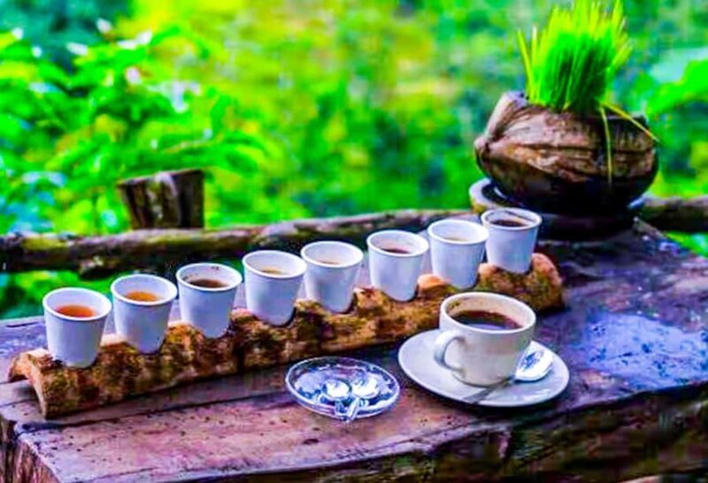 Bali: Graceful Art, Sacred Forest, Serenity and Lotus Bloom - Uma Anyar Waterfall: A Hidden Gem