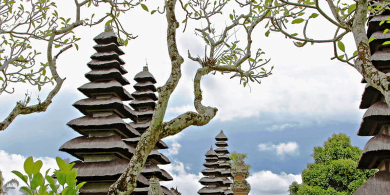 bali-green-and-heritage-west-trip-private-tour-luxury-car
