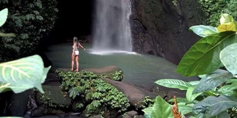 bali-green-and-heritage-west-trip-private-tour-luxury-car