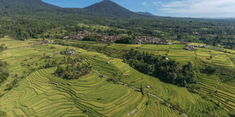 bali-green-and-heritage-west-trip-private-tour-luxury-car
