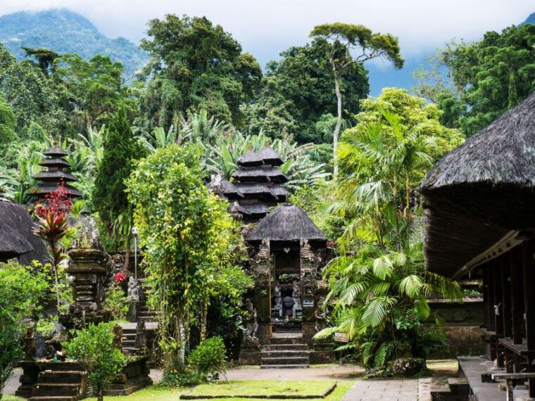 bali-green-and-heritage-west-trip-private-tour-luxury-car