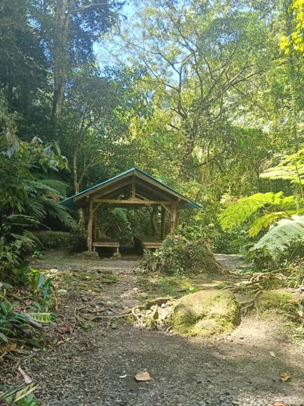 Bali: Guided Hike to 6 Hidden Waterfalls with Picnic Lunch - Pricing and Value