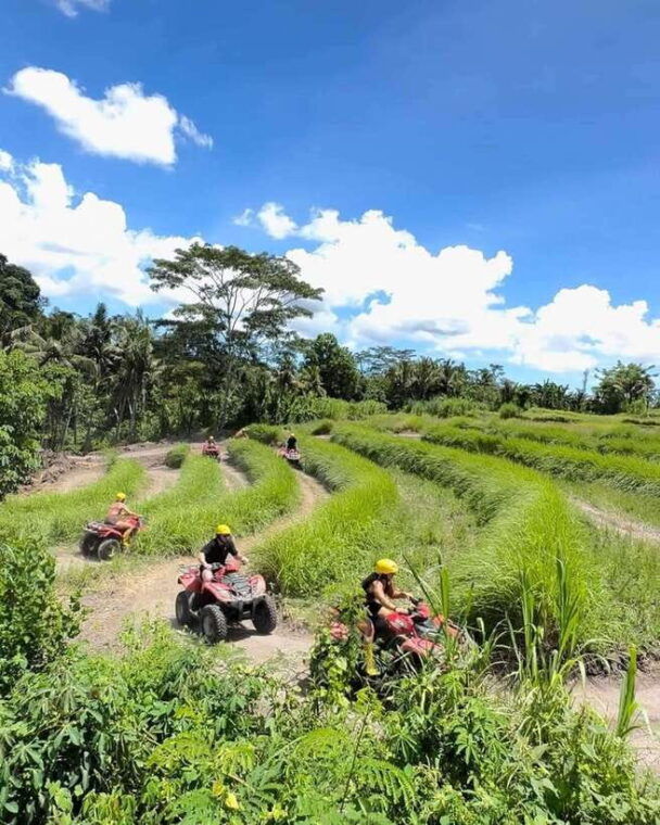 bali-guided-quad-bike-ride-with-waterfall-and-swing-options