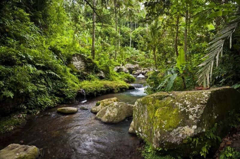 Bali: Gunung Kawi Temple & Pakerisan UNESCO Guided Tour - Final Thoughts: Who Will Love This Tour?