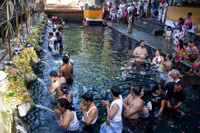 Bali Half Day Cultural and Nature - In-Depth Review of the Tour Experience