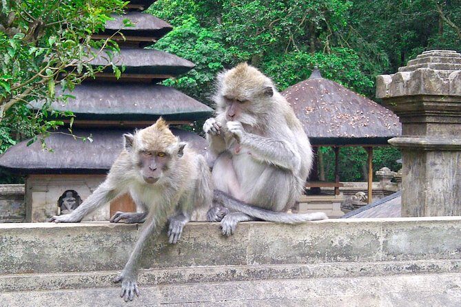 Bali Half-Day TANAH LOT SUNSET, Taman Ayun Temple with Dinner - An In-Depth Review of the Bali Half-Day Tour