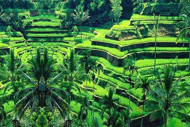 Bali Half-Day Tour to the amazing attraction & sights - Overview of the Tour