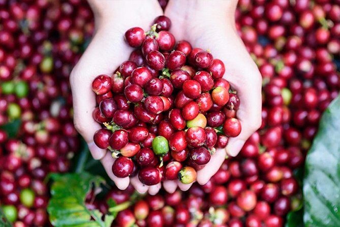 Bali Half-Day Tour to the amazing attraction & sights - Practical Tips for Your Day