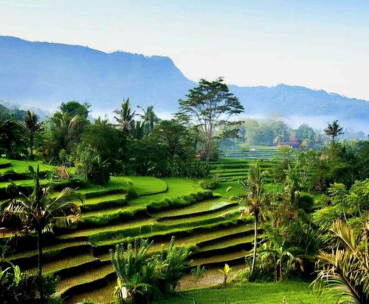 bali-harmony-mother-temple-private-tour-all-inclusive