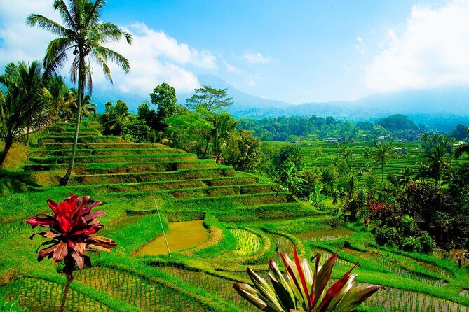 Bali Heritage Tour Taman Ayun Ulun Danu Jatiluwih Tanah Lot - Final Thoughts