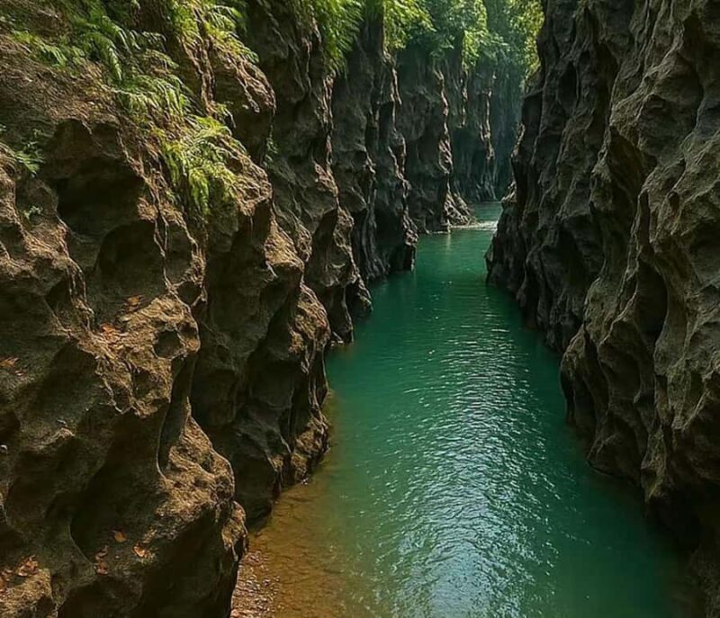 Bali: Hidden Canyon Beji Guwang Trekking Adventure - An Adventure in Nature’s Artwork: What to Expect