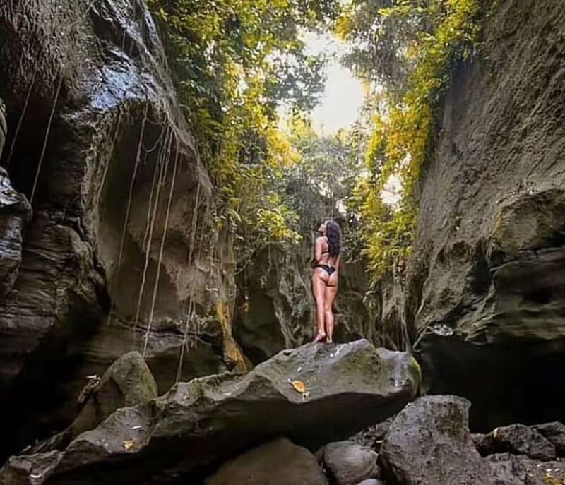 Bali: Hidden Canyon Beji Guwang Trekking Adventure - Who Should Consider This Tour?