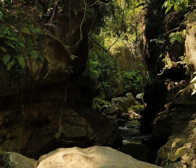 Bali: Hidden Canyon Beji Guwang Trekking Adventure - The Sum Up
