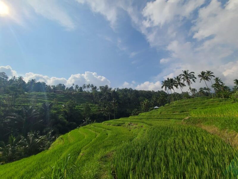 bali-hidden-trekking-waterslide-sekumpul-fiji-waterfall