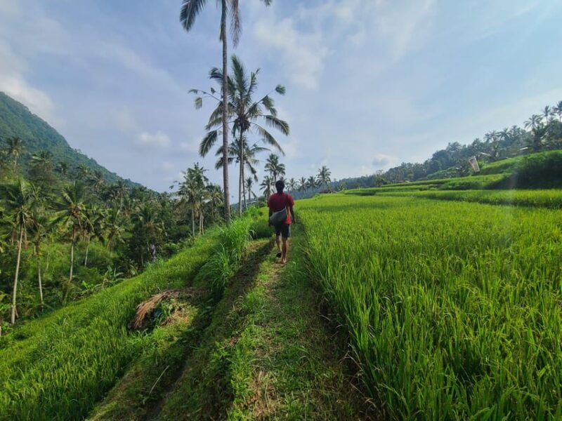 bali-hidden-trekking-waterslide-sekumpul-fiji-waterfall