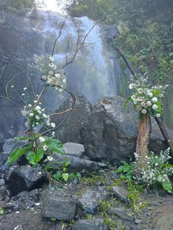 Bali: Hidden Waterfall Hike and Blue Lagoon Snorkeling - A Closer Look at the Tour Experience