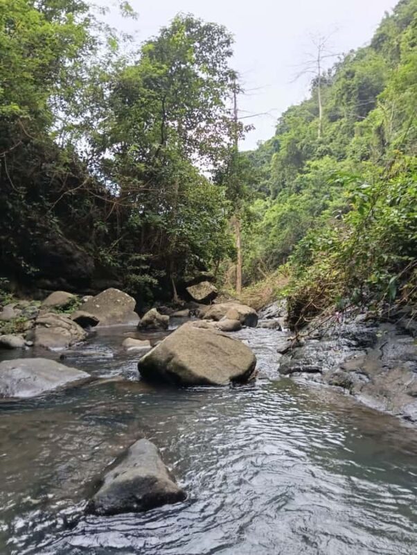 Bali: Hidden Waterfall Hike and Blue Lagoon Snorkeling - Who Is This Tour Best For?