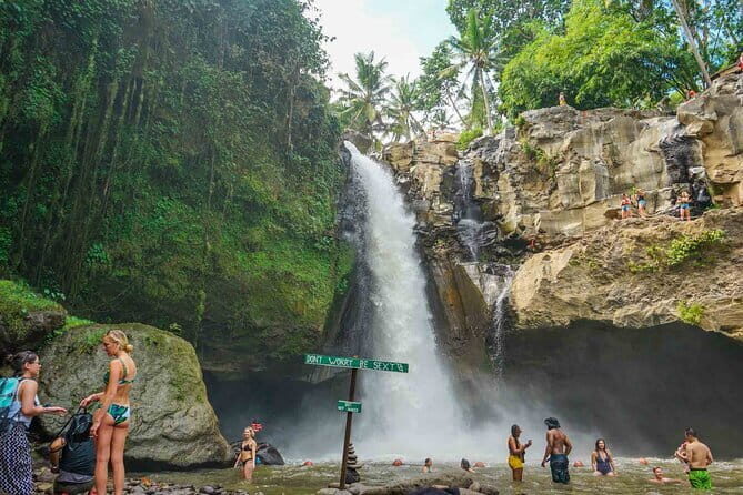 Bali Hidden Waterfall Private Tour with Pick up and Drop off - Who Is This Tour Best For?