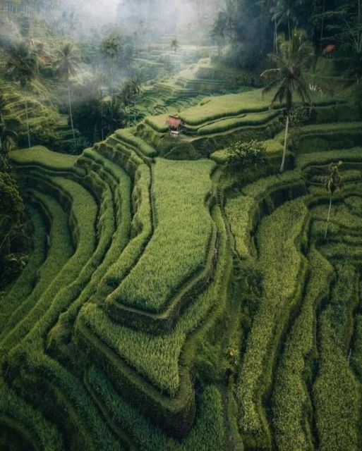 bali-highlight-of-ubud-culture-temple-and-batur-volcano