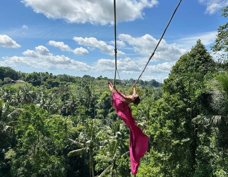 Bali Highlights : Private Custom Tour with opt Lunch - Who Should Consider This Tour?