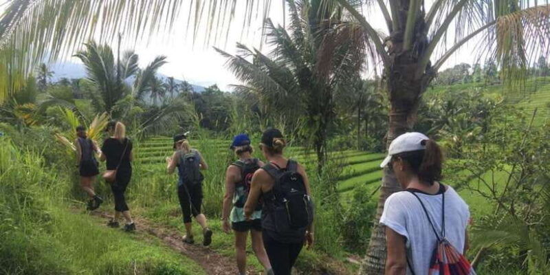 bali-hill-side-lemukih-treeking-with-amazing-view