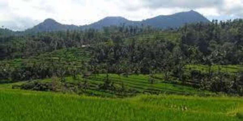 bali-hill-side-lemukih-treeking-with-amazing-view