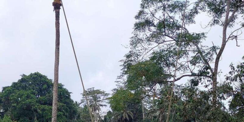 bali-hire-private-tour-with-english-speaking