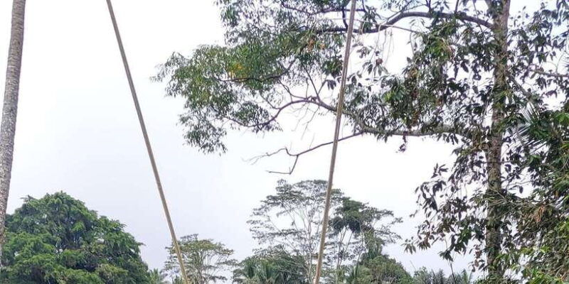 bali-hire-private-tour-with-english-speaking