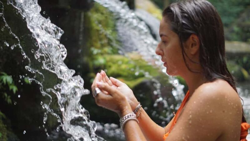 Bali: Holy Water Purification and Palm Reading Tour - Authentic Insights from Reviews
