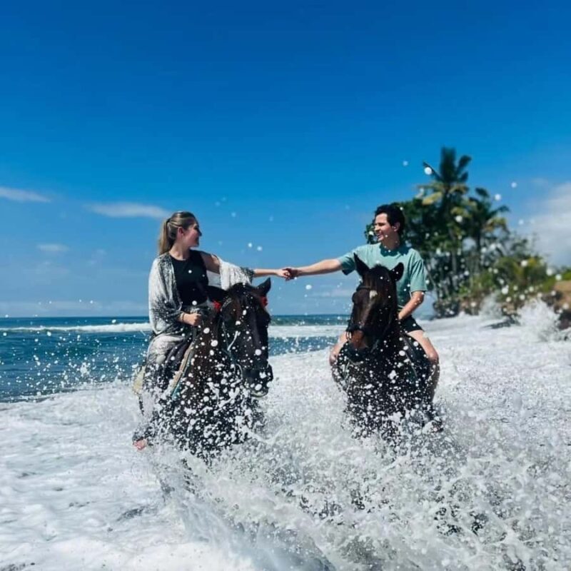 Bali Horse ride at Saba beach Horse tour - What Reviewers Say